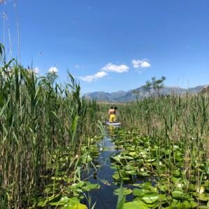 SUP-boarding & Mindfulness at LAKE SHAS