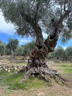 Ulcinj Olive Groves: A Bikers Paradise